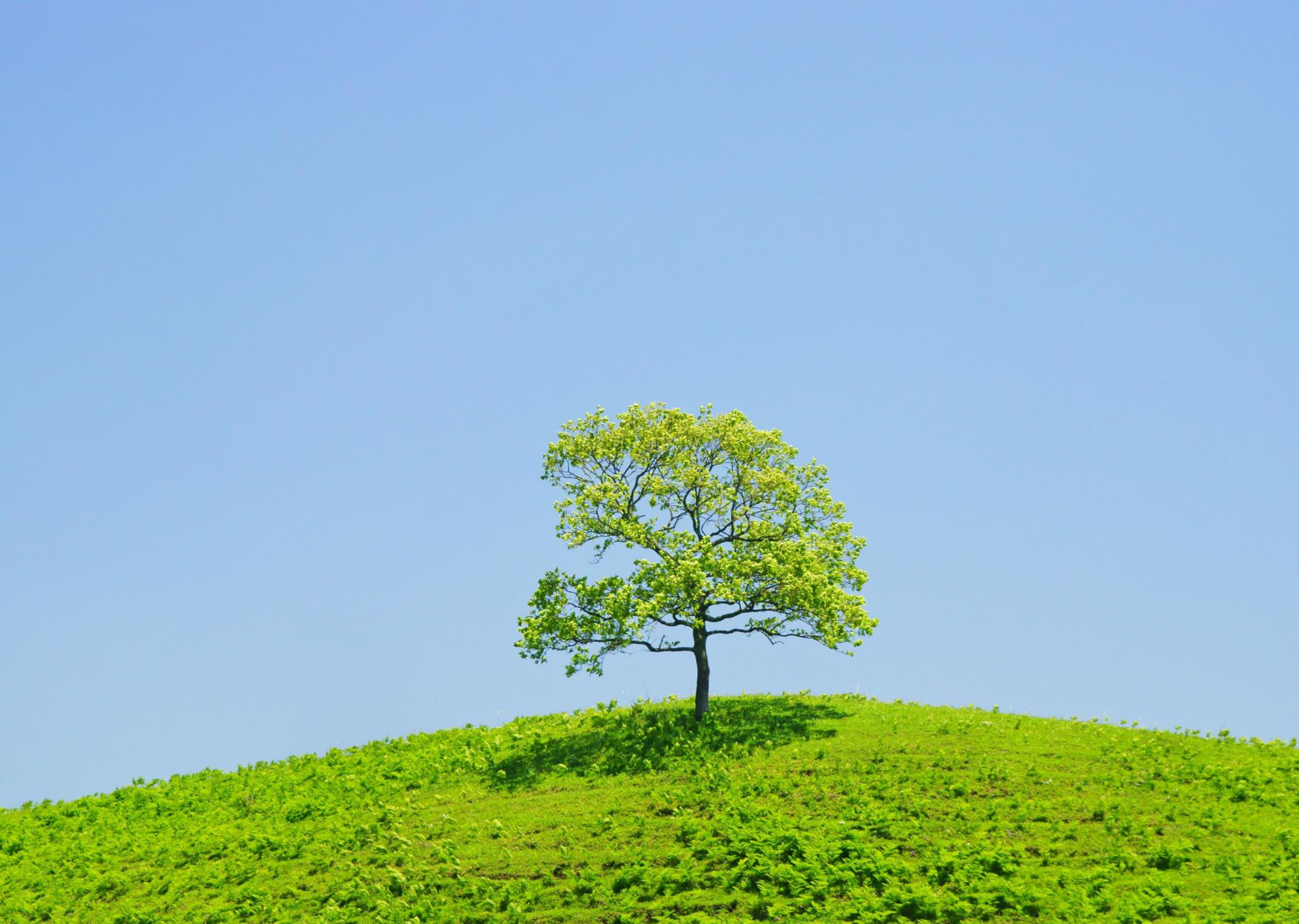 新建 Microsoft PowerPoint 演示文稿_page-0004