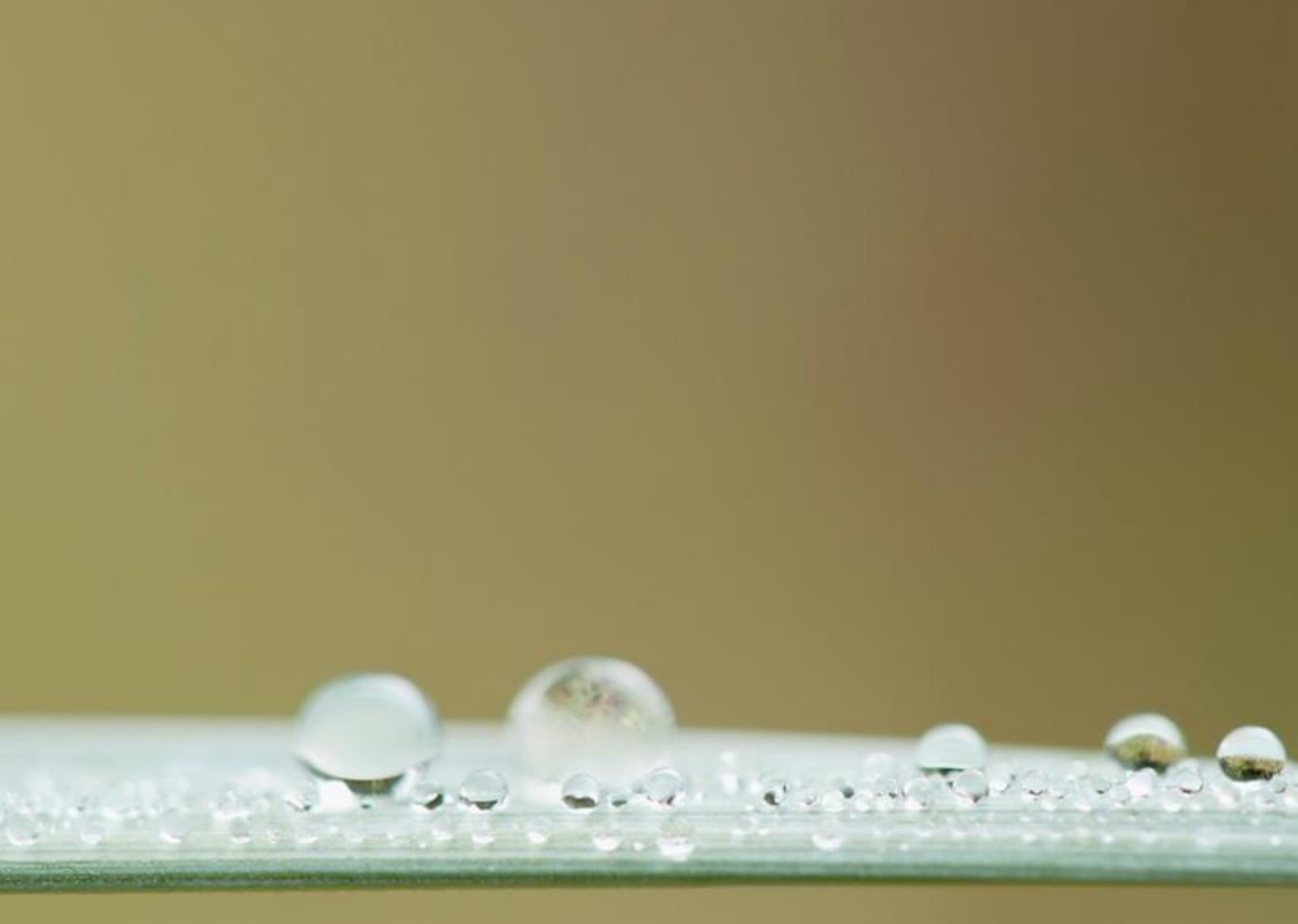 新建 Microsoft PowerPoint 演示文稿_page-0005