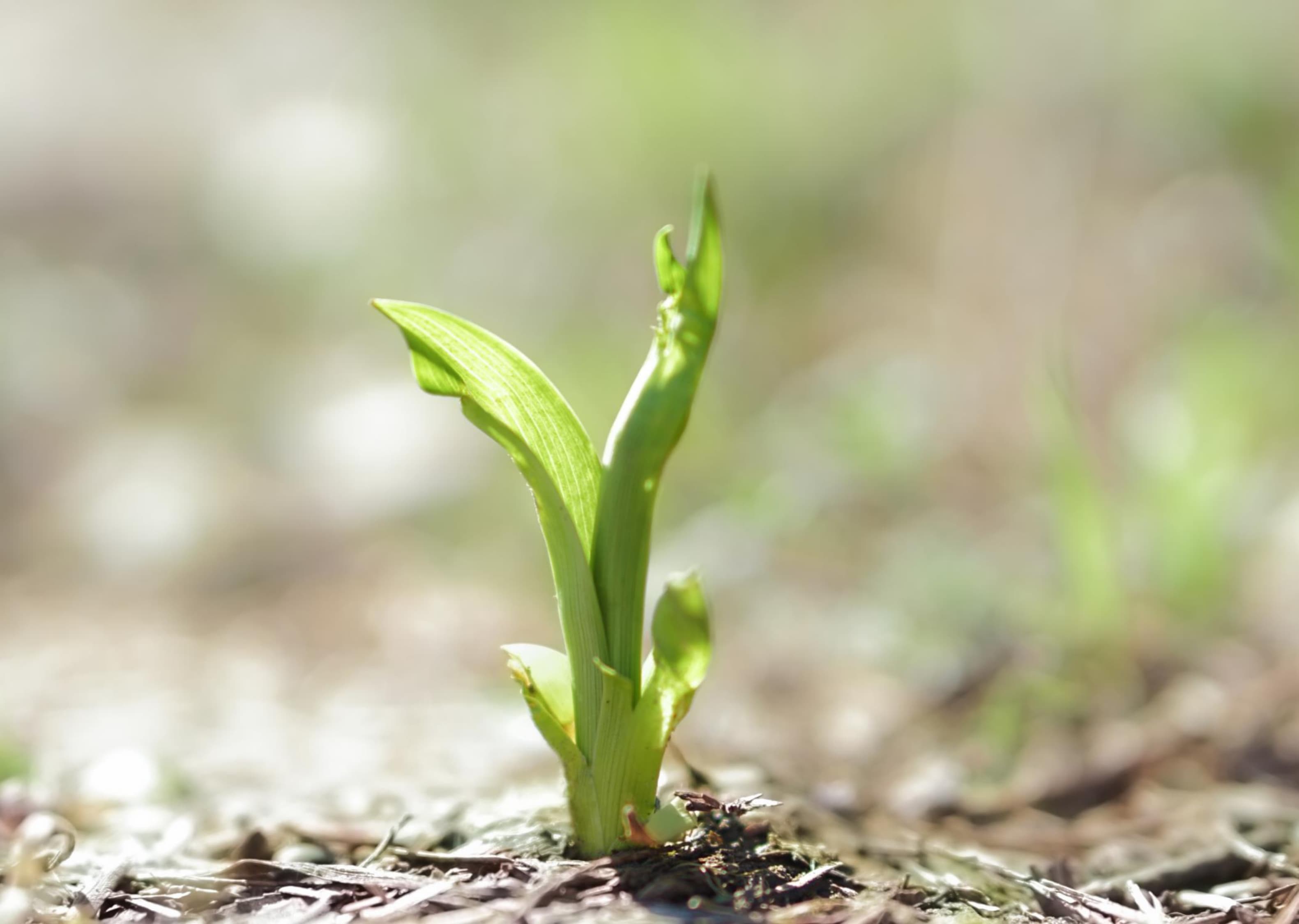 新建 Microsoft PowerPoint 演示文稿_page-0003