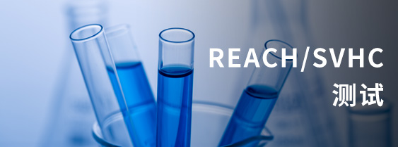 reachsvhccehsi5844.jpg