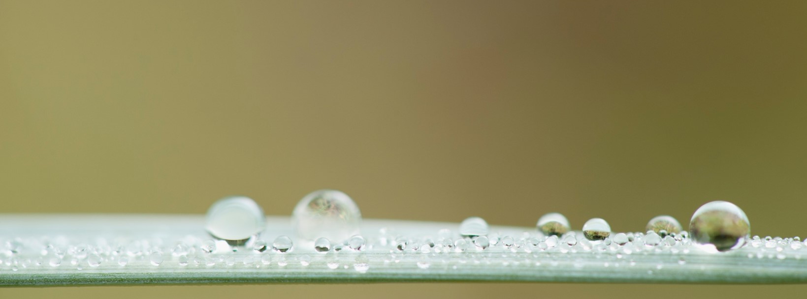 20230217_161749_87721